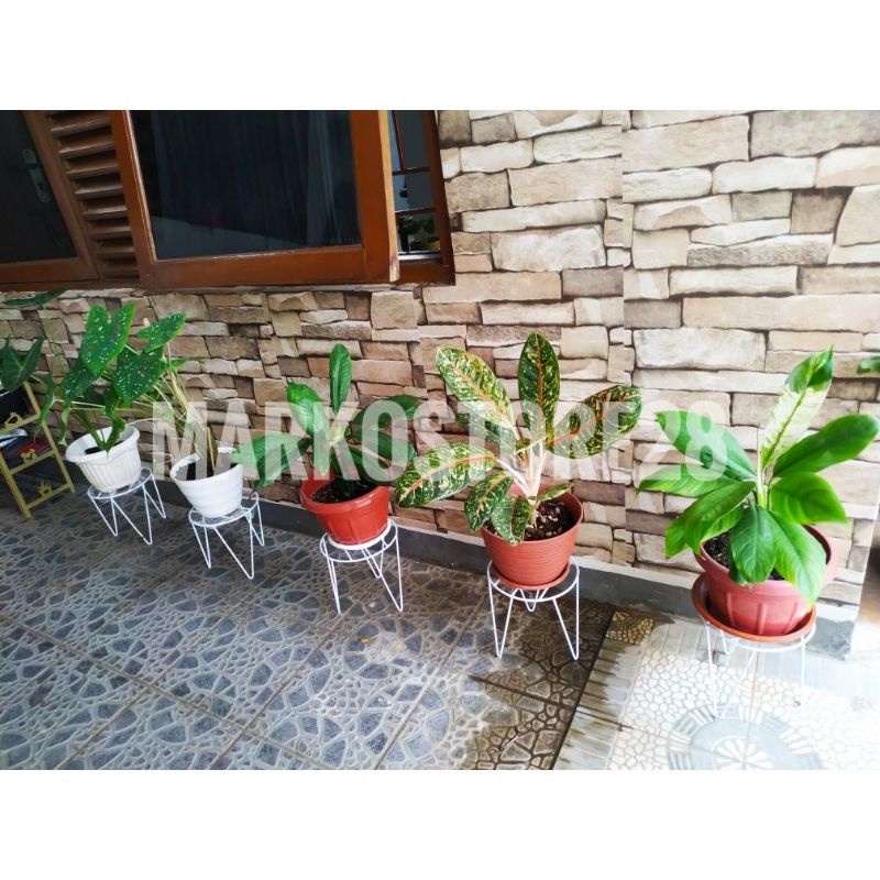 Rak Bunga Besi Minimalis , Standing Pot Bunga