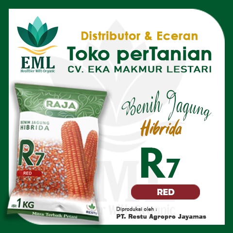 Benih Jagung R7 (Red)