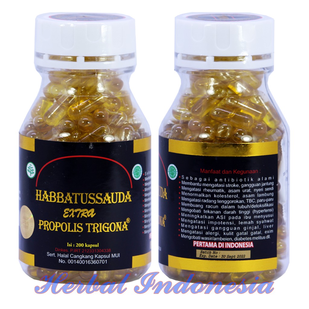 Habbatussauda Extra Propolis Trigona 200 Kapsul Ums Habatussauda Indonesia