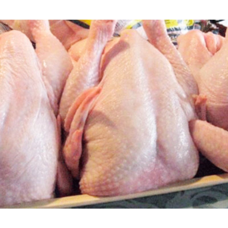 

Ayam Boiler Segar 700gr