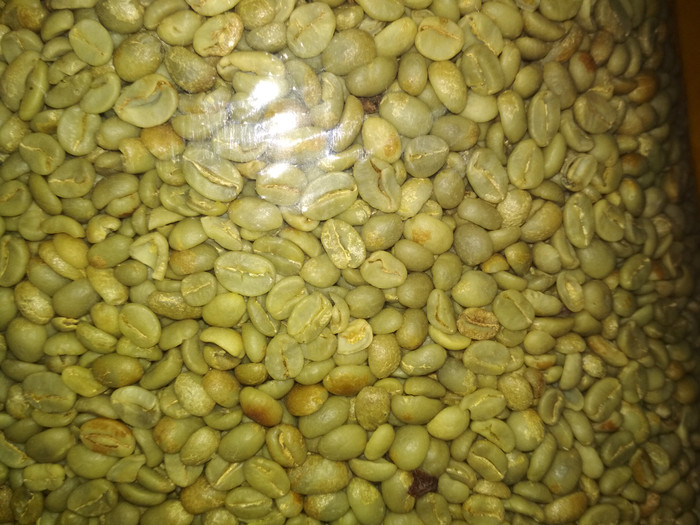 

PROMO Greenbean puntang natural