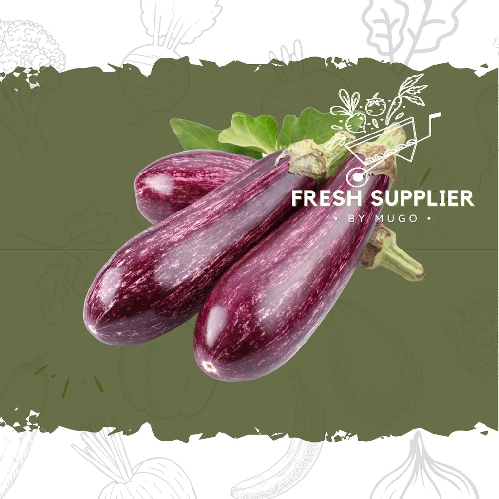 

Terong Ungu 500g Fresh Supplier
