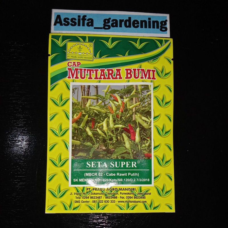 Benih Cabe Rawit Putih Seta Super @ 10 Gram