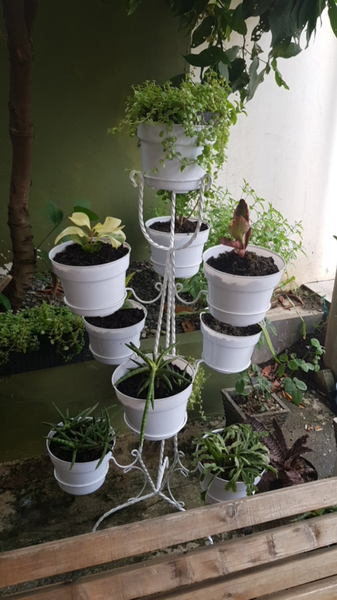 Pot 20 Cm Warna Warni