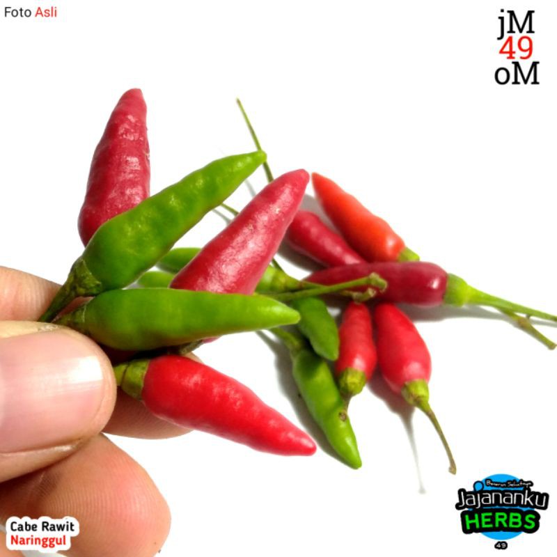 

Cabai 1kg Cabe Rawit Fresh Cengek Cabai Gunung