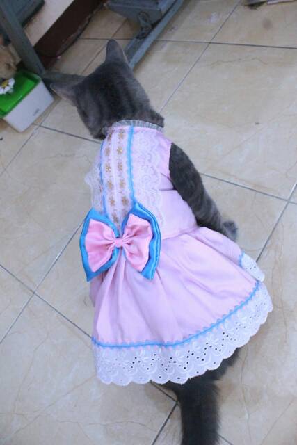 Dress ala french vintage untuk kucing dan anjing lucu murah / baju kucing murah size S M L XL