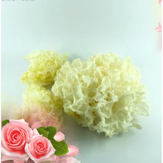 

Jamur Putih , White Fungus, Bai Mu Er, Jamur Es