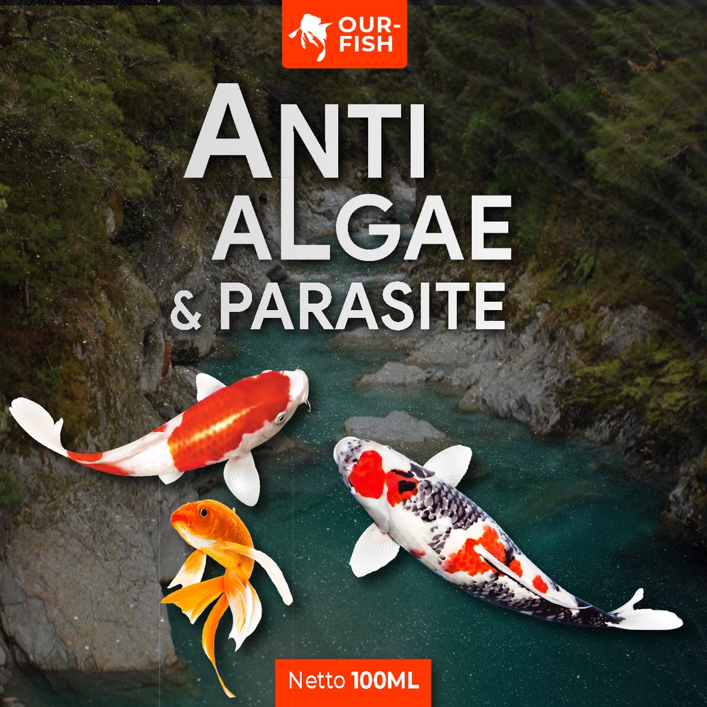 OURFISH - Anti Algae Parasit Obat Pembasmi Lumut Kolam Aquarium 100ML