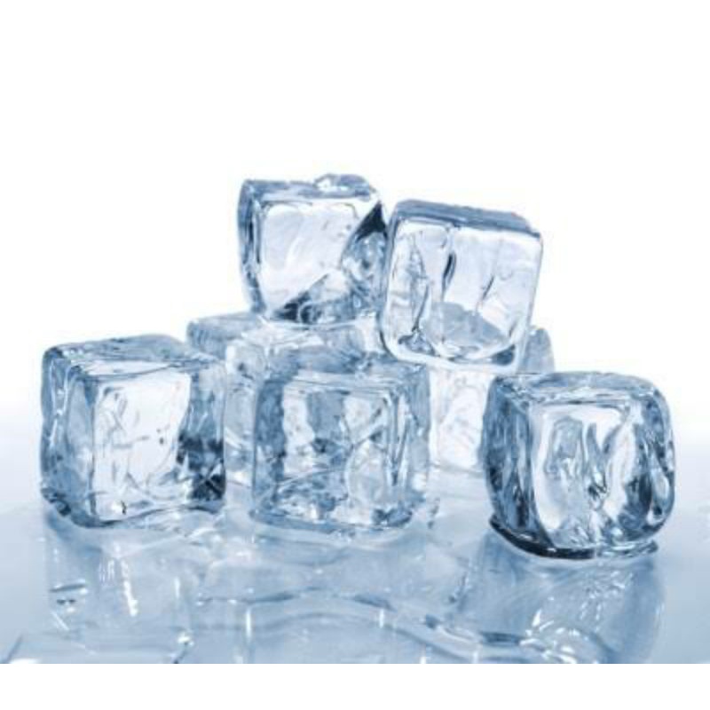 Es Batu Botol / Ice Pack ( Pendingin Selama diperjalanan )