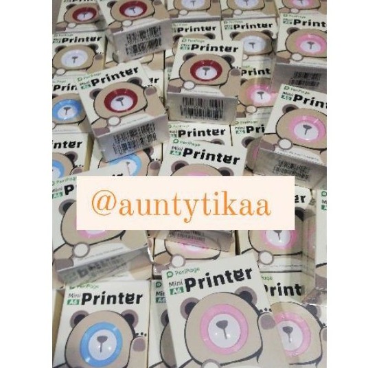 Peripage mini printer