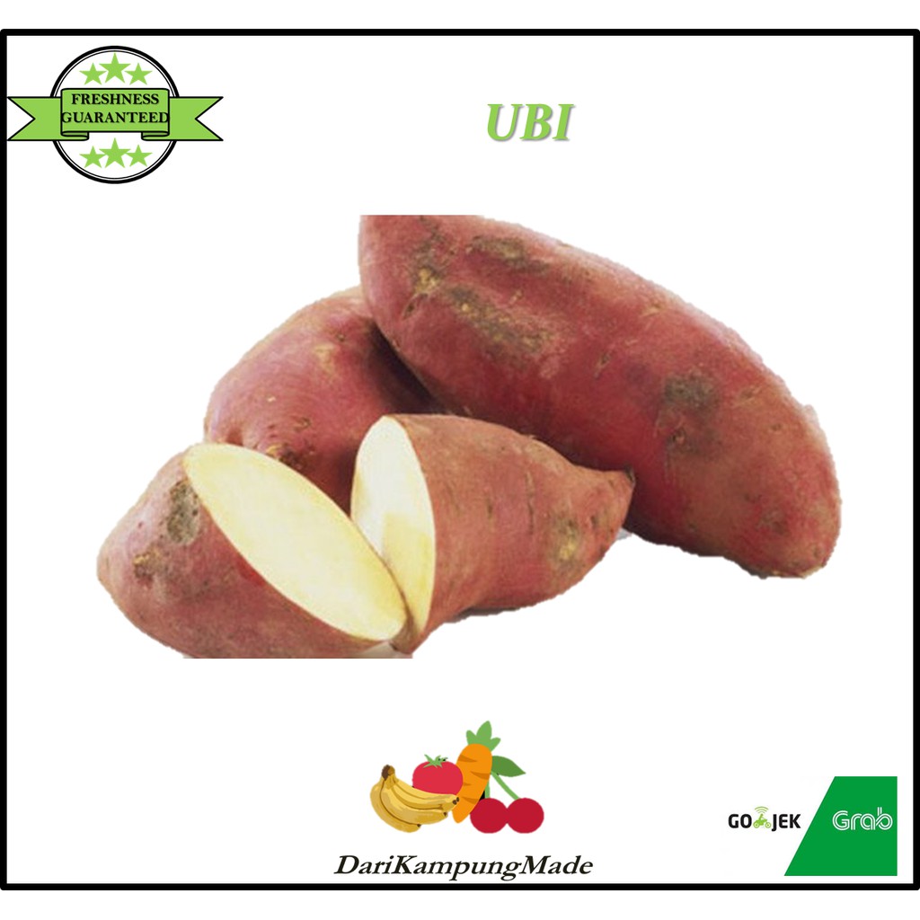 

GRAB / GOJEK ONLY / UBI KETELA / DIJUAL PER 1KG