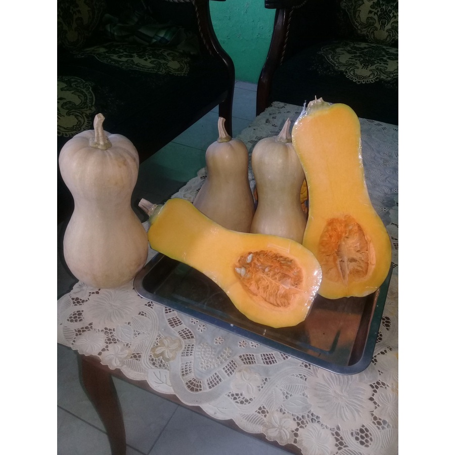 buah labu madu (butternut pumpkin) segar per 1 kg.