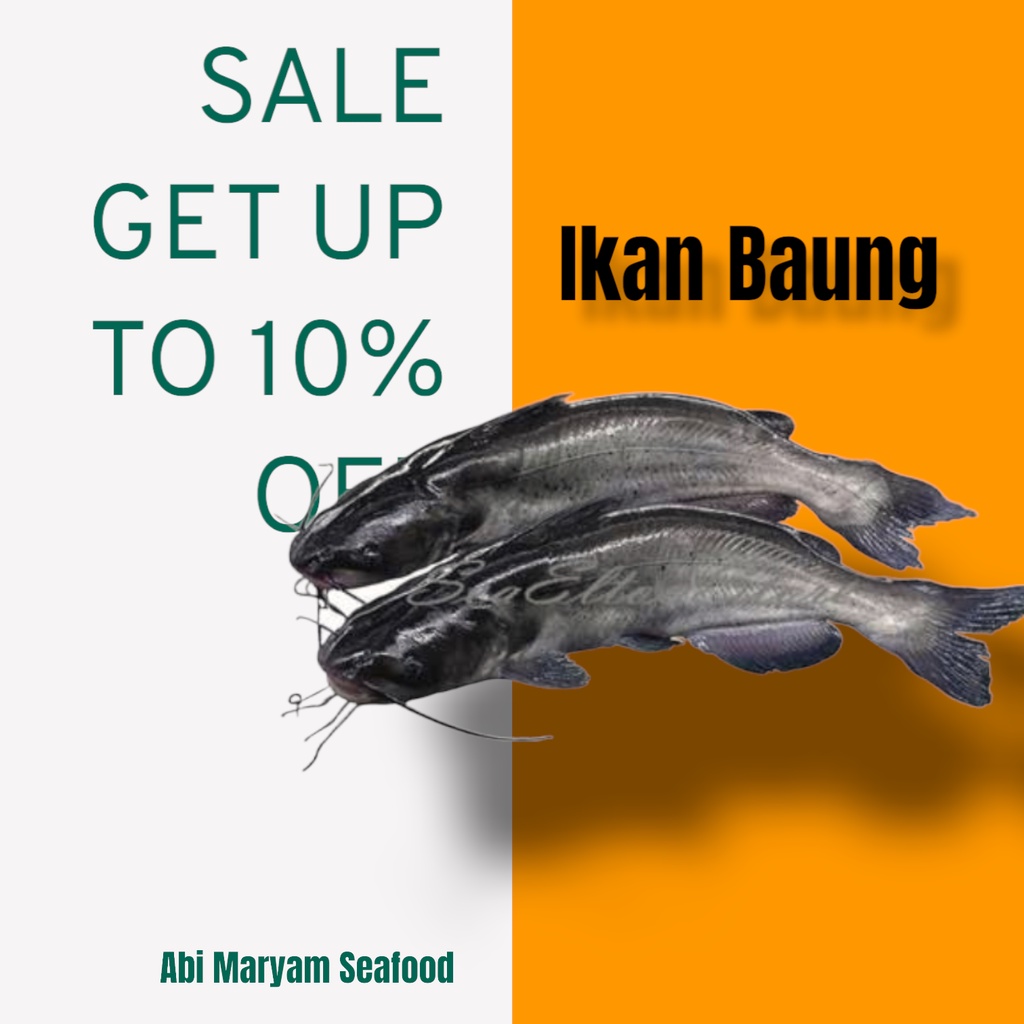 

Ikan Baung Fresh Berkualitas 1kg
