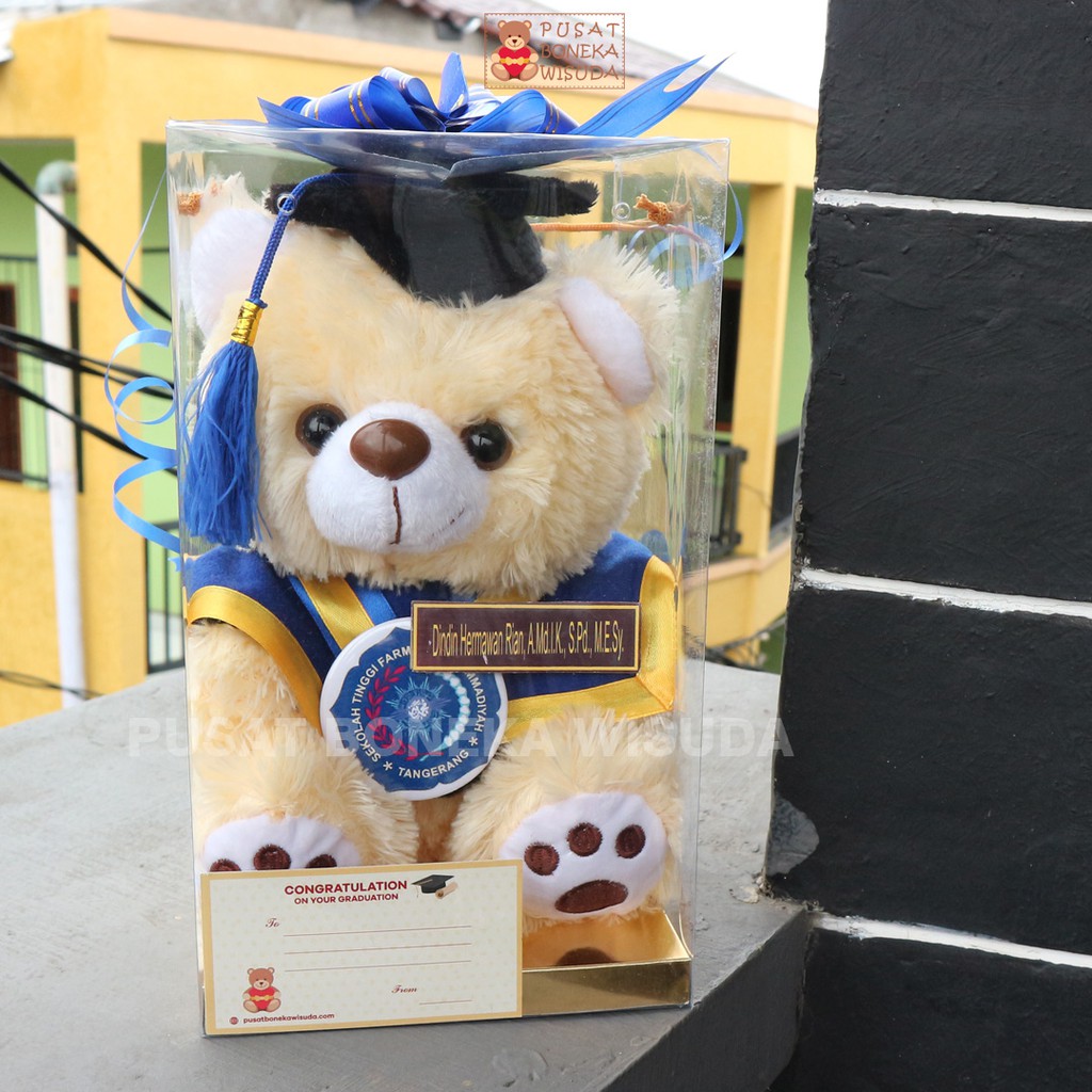 Boneka Wisudah Tedy Bear Sedang Custom Ada Nama Mika Tedy Kado Wisuda Hadiah anak SMP SMA Grosir TK