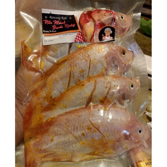 

ikan Nila Bioflok