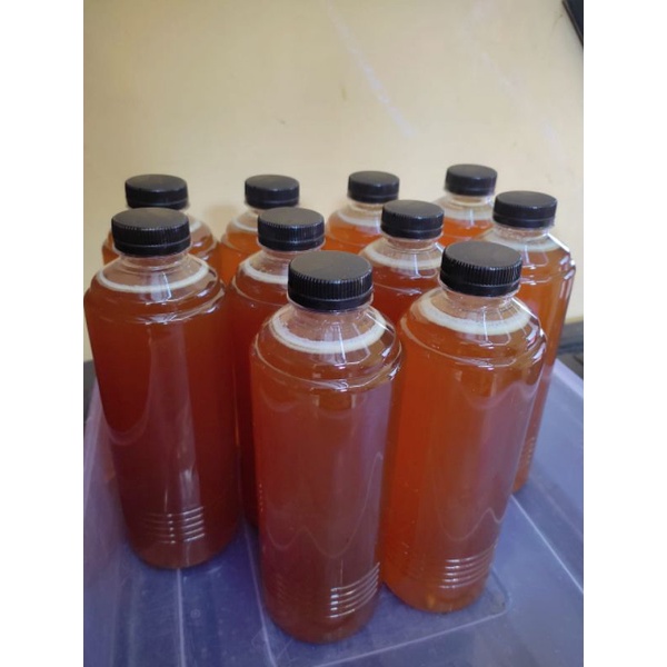 

madu hutan bima