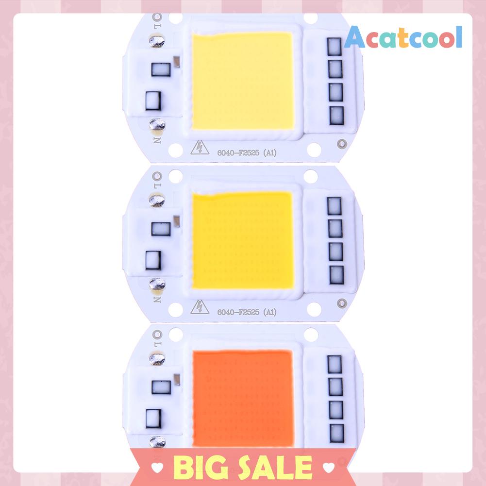 Chip Input Ic Driver Led Cob 50w 220v