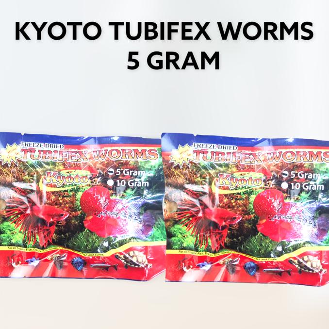 CACING SUTRA KERING TUBIFEX WORMS KYOTO 5 GR CACING BEKU KERING