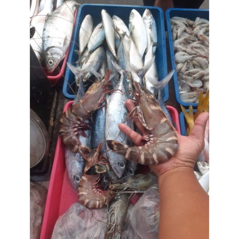 

super besar udang isi 8 sampai 10 ekor/kg pancet/vaname/peci/lobster/termurah (500 gram)