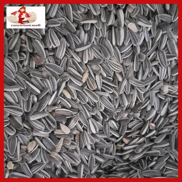 

U8Uht67- Kwaci Hitam 1Kg Wat46E5-
