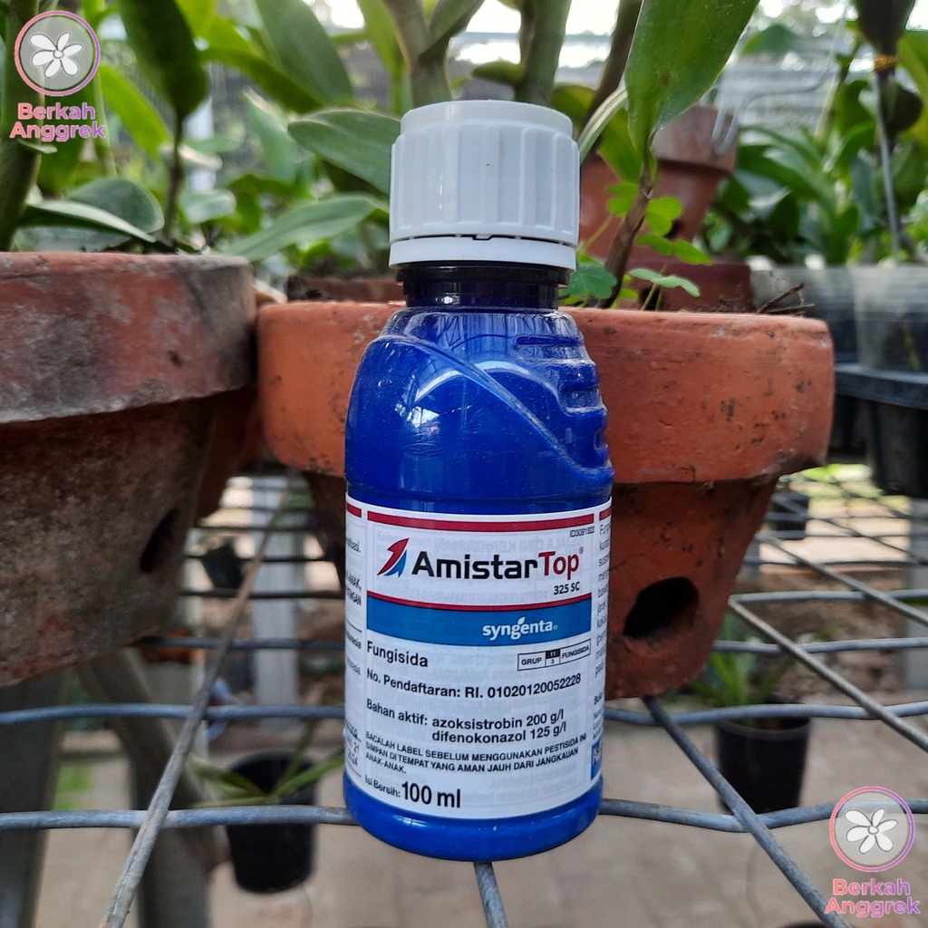 Amistartop 100 ml Fungisida