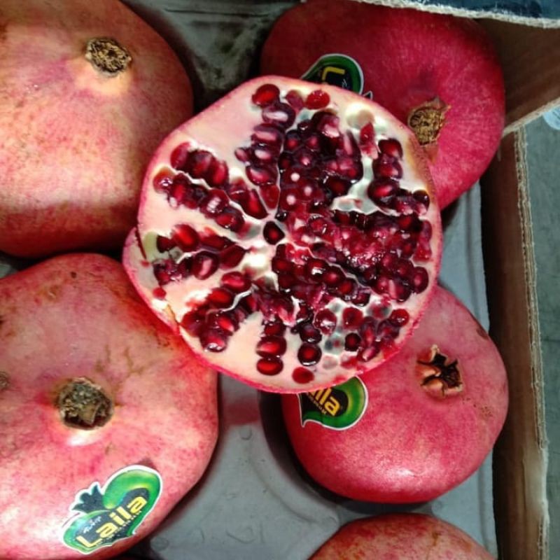 buah delima merah  mesir jumbo 1 buah