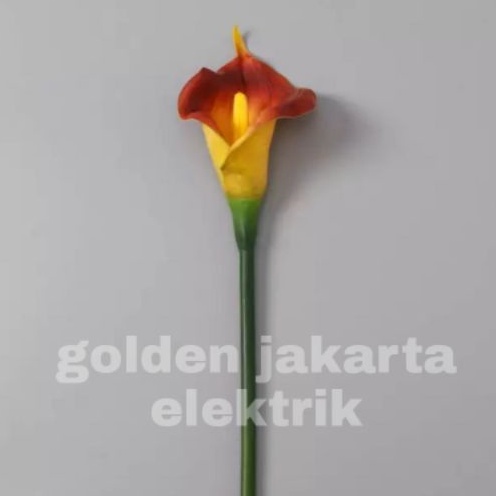 bunga calla lily jumbo premium