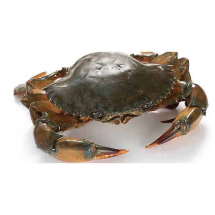 

KEPITING SOKA FROZEN