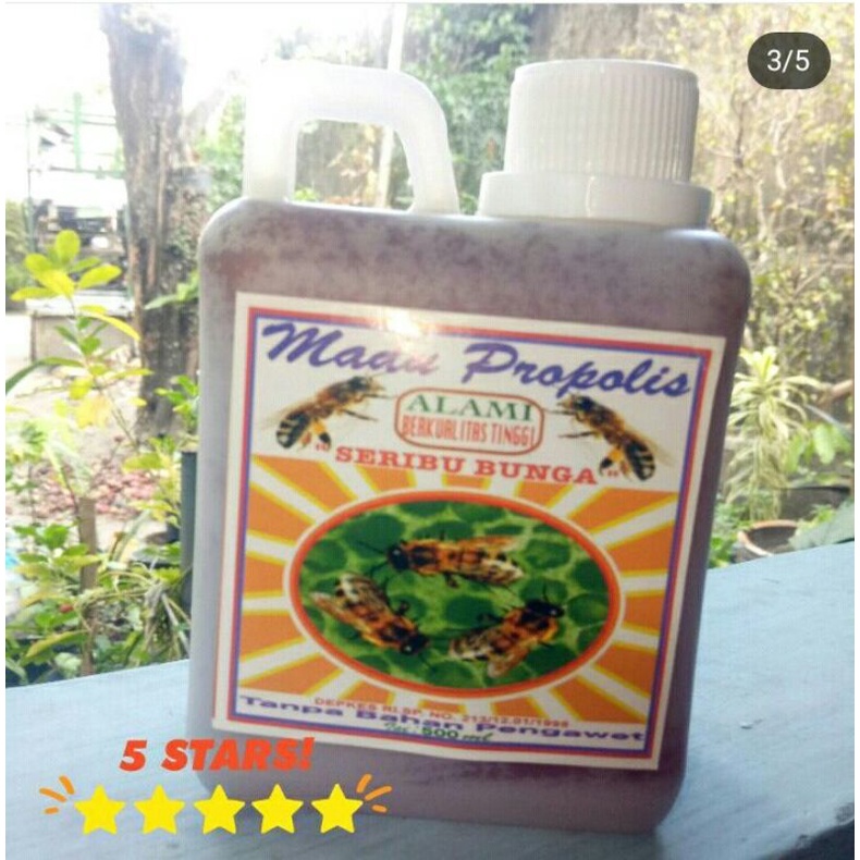 

Madu Propolis Kualitas Terbaik