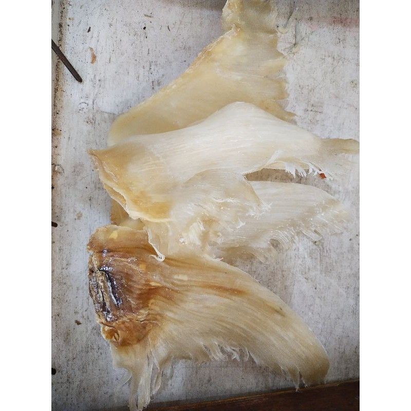 

Sirip Ikan Hiu / He Chi 500gr