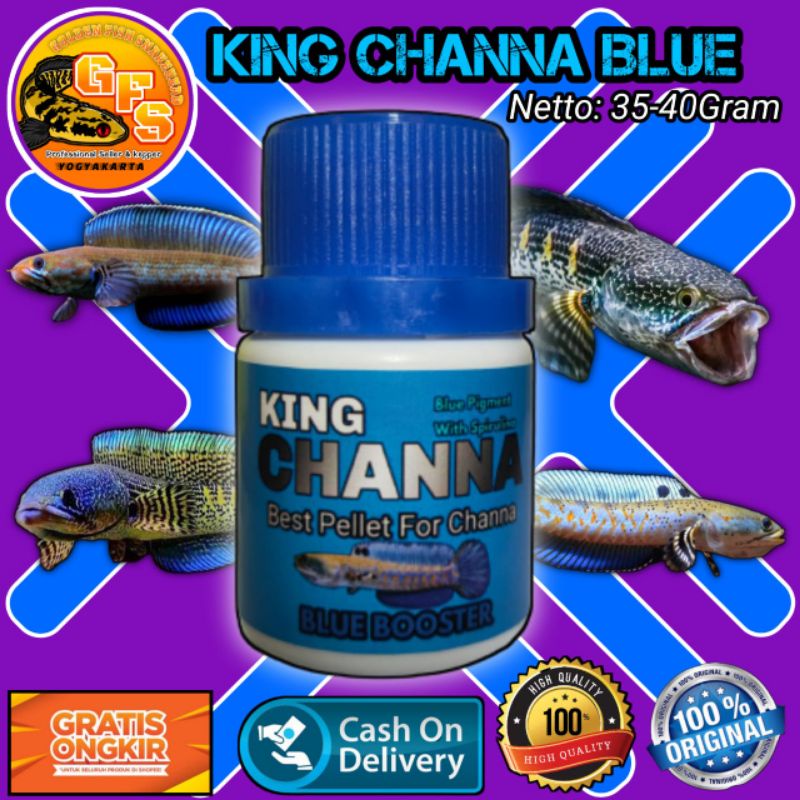 King Channa Blue Pelet channa Blue pulchra 40 Gram