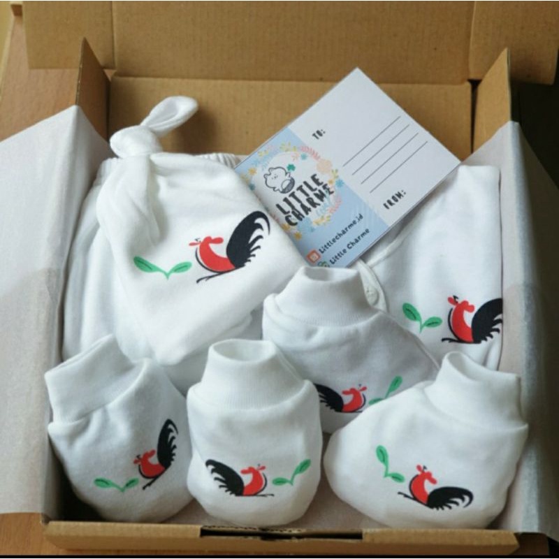HAMPERS ANAK BAYI | HAMPERS BAYI | HAMPERS ANAK | HAMPERS BABY | KADO LAHIRAN | NEWBORN GIFT SET | BAJU SET ANAK - LITTLE CHARME-2