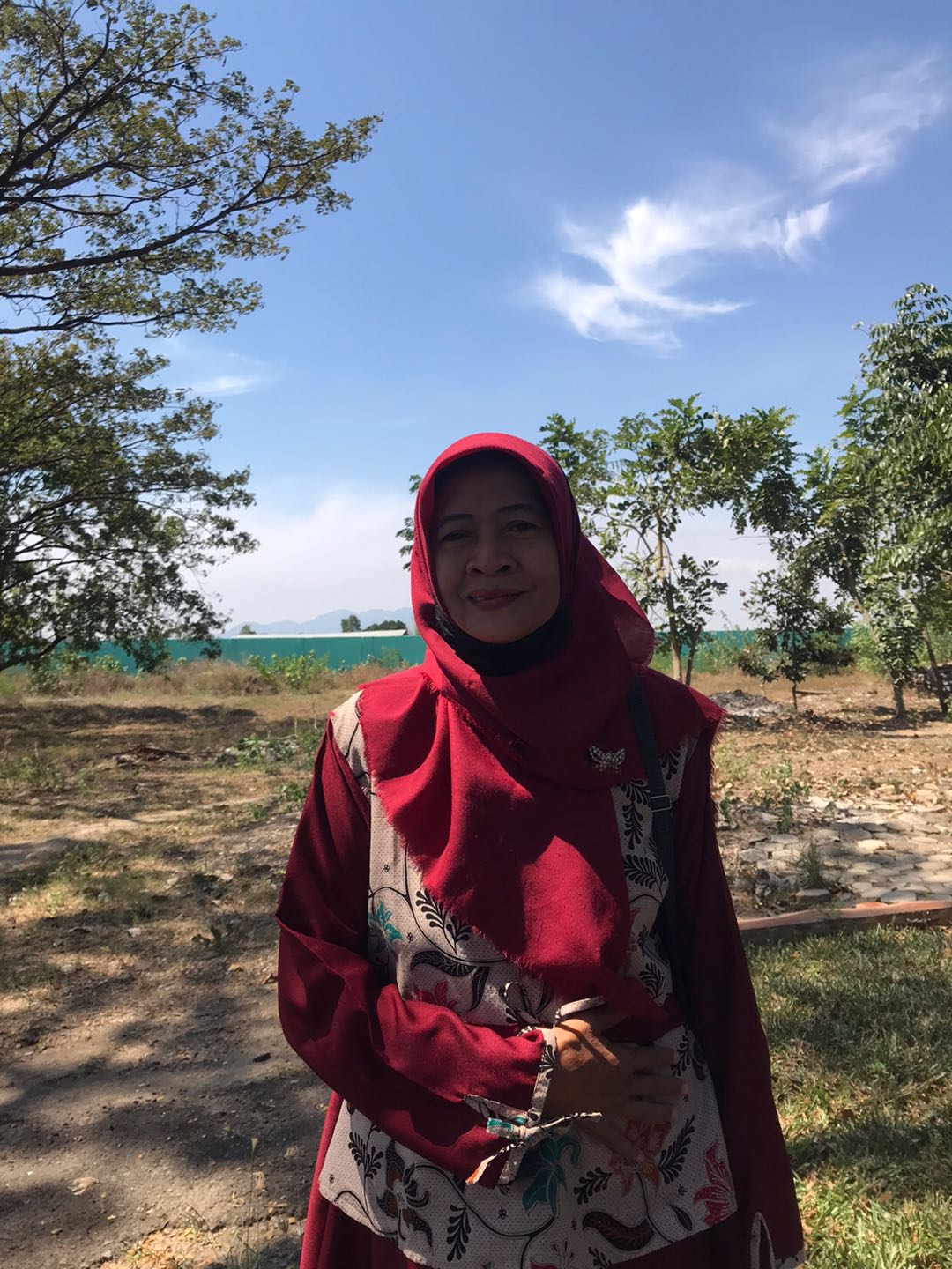 M-l-xl-xxl Batik Wanita Asj Sa Hrb026 Kenongo Kemeja Tosca Pendek