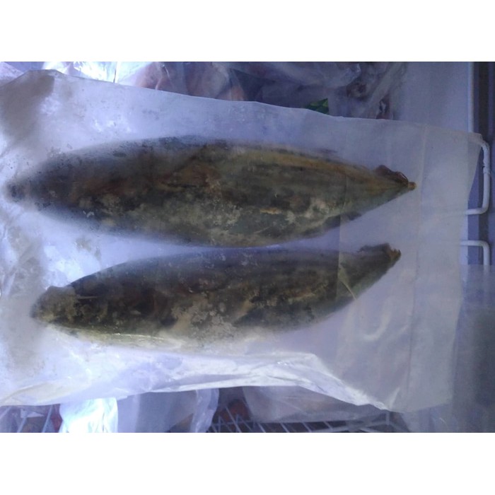 

Cakalang Ikan 0,5 -0,6 gram