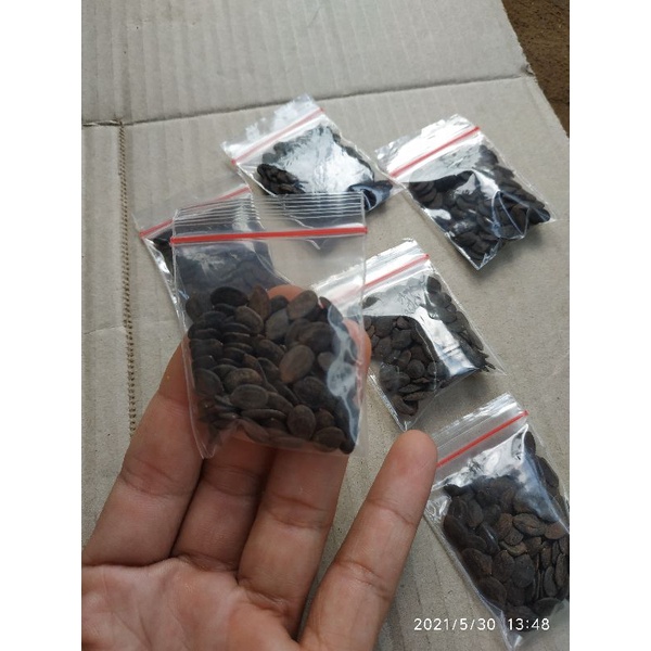 BIJI KALIANDRA PAGODA ISI 50 BUTIR / BIBIT KALIANDRA / BENIH KALIANDRA