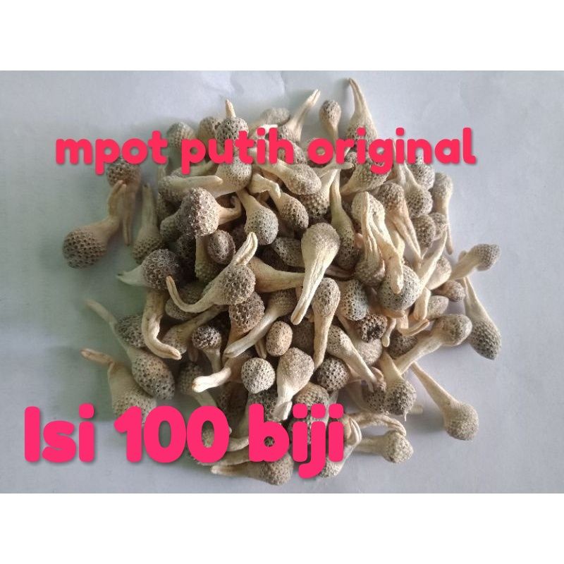 Mpot putih Ayam Original isi 100biji