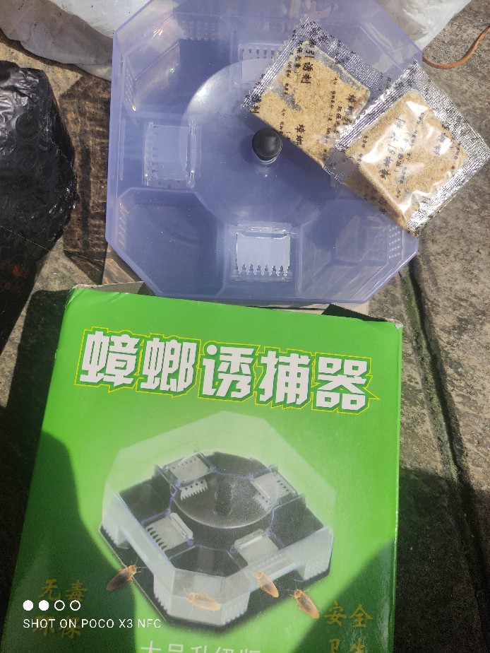 Perangkap Kecoa Kotak 4 Sisi Trap Kecoa Ampuh Mempan Cockroach Trap