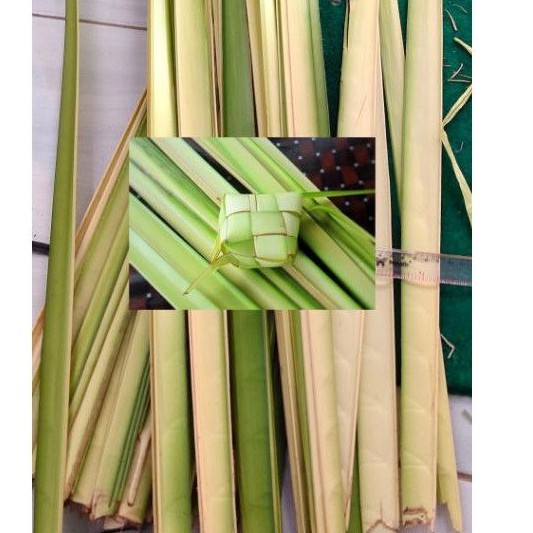 

daun kelapa daun kupat mentah fresh per 20 helai
