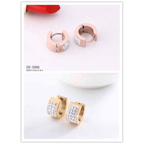 Anting-anting titanium R006.5006