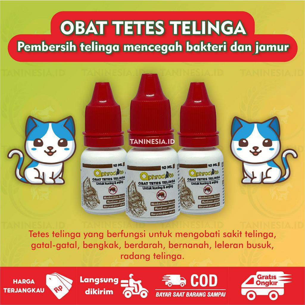 OBAT TETES TELINGA KUCING OBAT RADANG TELINGA KUCING CONGEK BAU BENGKAK LUKA INFEKSI GATAL 10ML