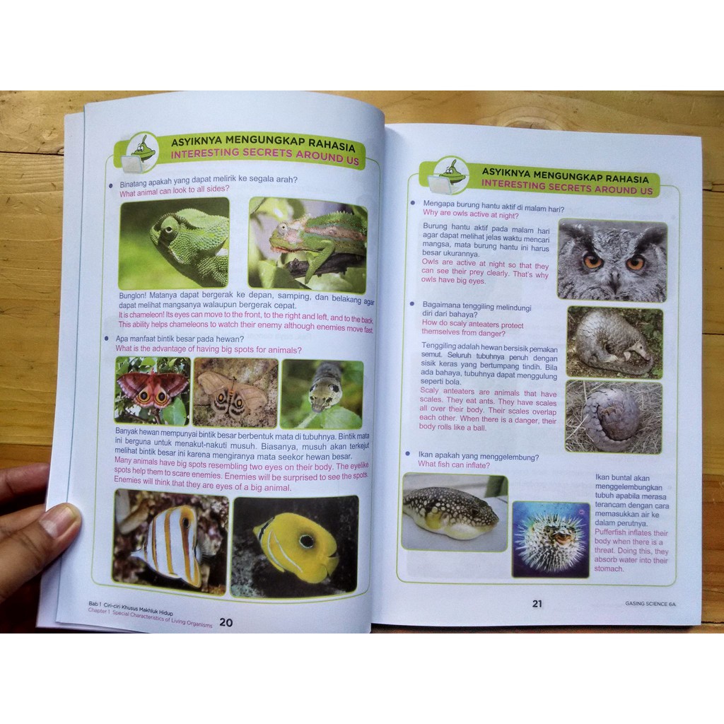 SET buku Science Gasing SD karya Prof Yohanes Surya - buku IPA SD