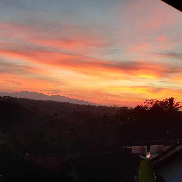 ray_adhari_jajuri_spd