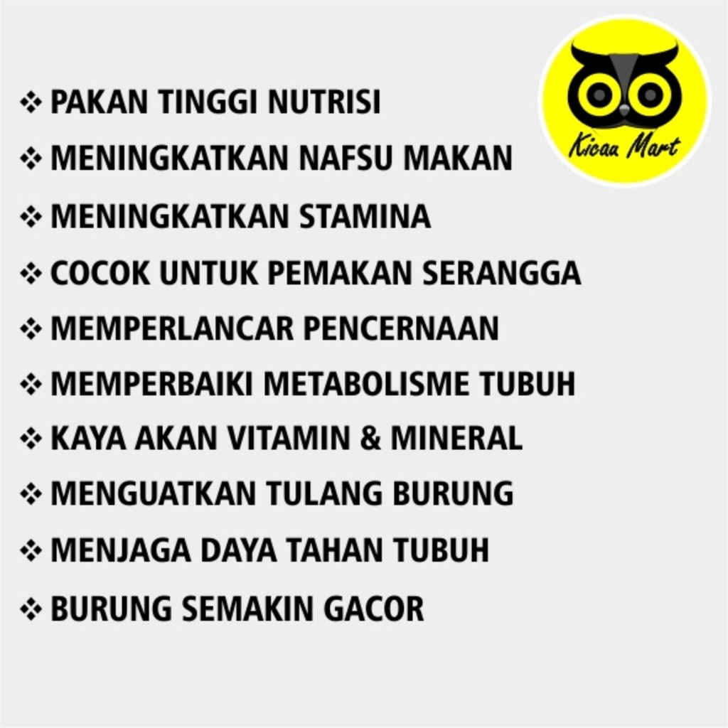 PAKAN SUPER PRIMA VOER CENDET TOPLES PUR MAKANAN HARIAN BURUNG MURAI KACER PUNGLOR PRENJAK PKNBR5AS