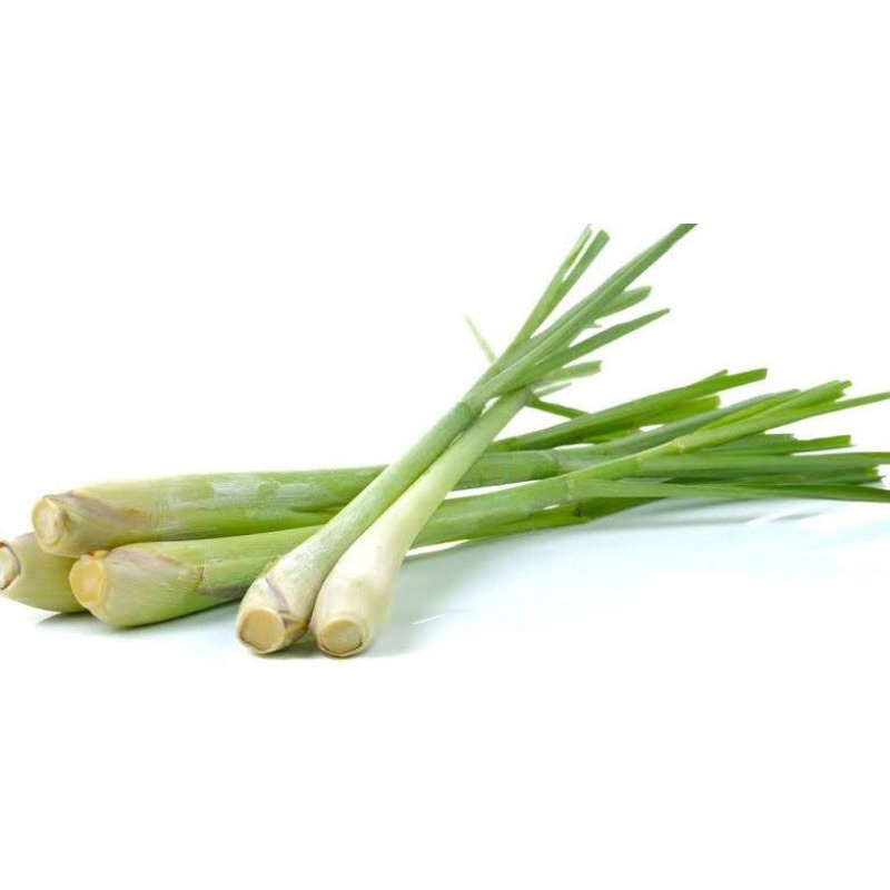 

Serai Bumbu Masak