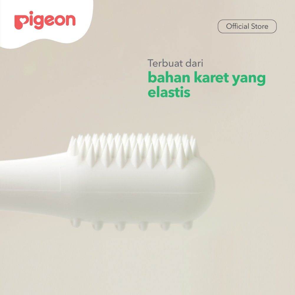 PERA26 Pigeon Training Toothbrush Lesson 1 Sikat Gigi Bayi