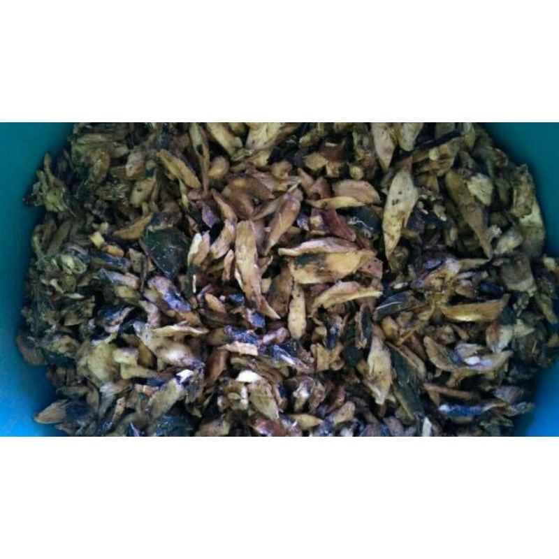 

Gatot bagus 500 gram asli dari kota trenggalek makanan sehat