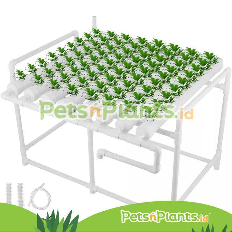 SET PIPA HIDROPONIK DFT 2,5 INCH PVC-U FOOD GRADE IMPORT 72 LUBANG