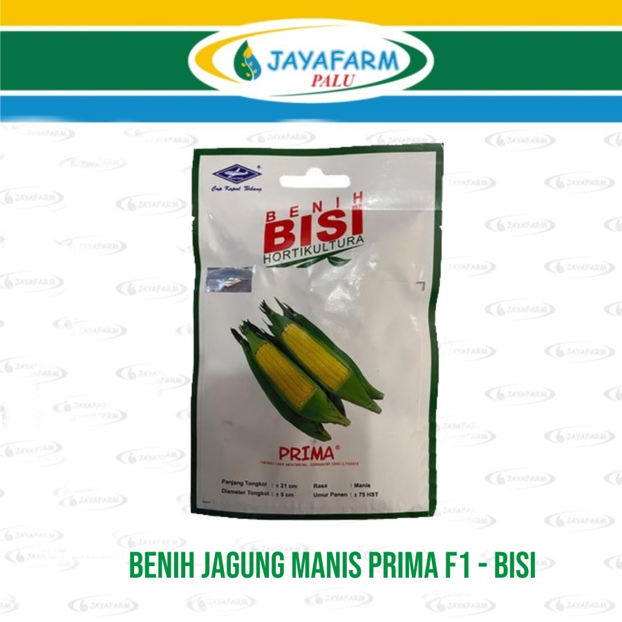 Benih Jagung Manis Prima F1 - Bisi