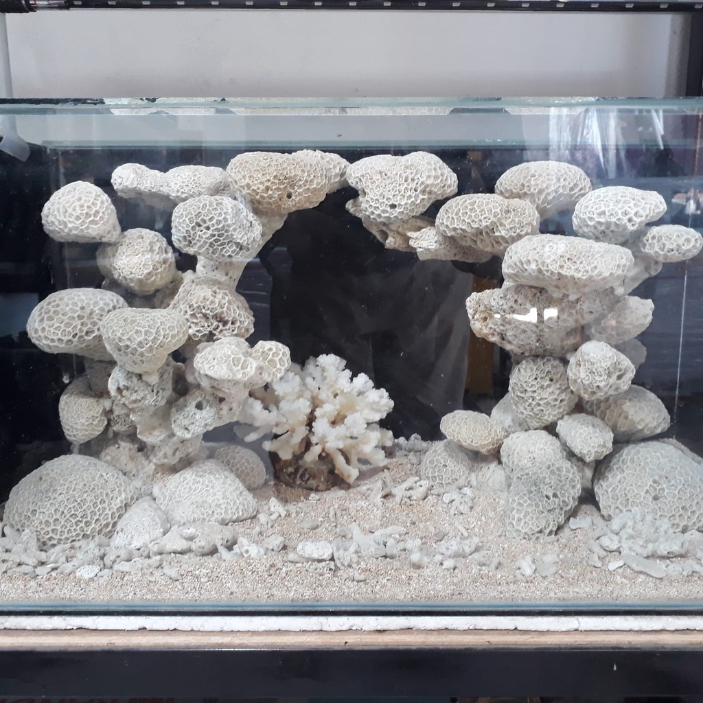 Batu karang bentuk bunga uk 1kg Aquascape-Aquarium