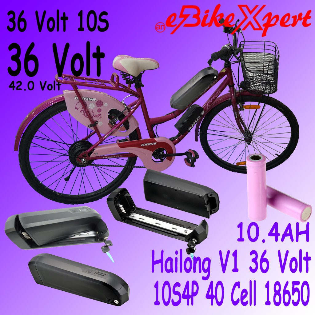 Baterai Sepeda Listrik 36 Volt Hailong V2 Cell 18650 dan Charger